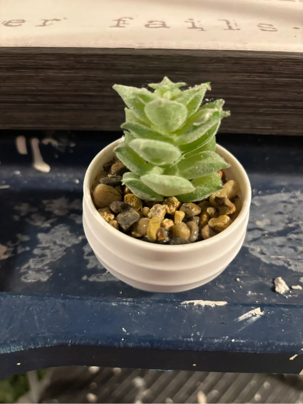 Mini Artificial Succulent Assortment in White Pots - Green